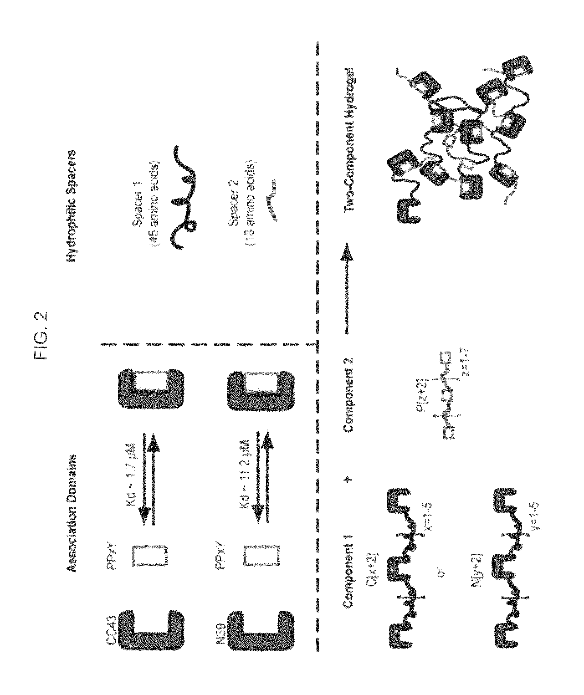 Hetero-assembled hydrogels