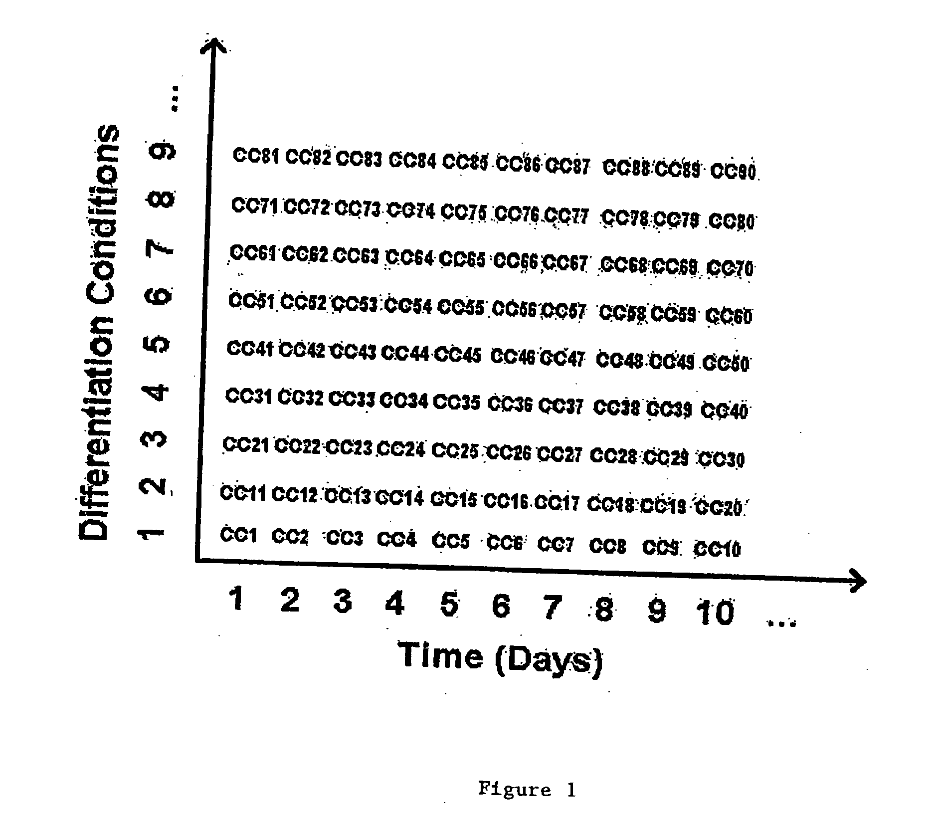 Methods to accelerate the isolation of novel cell strains from pluripotent stem cells and cells obtained thereby