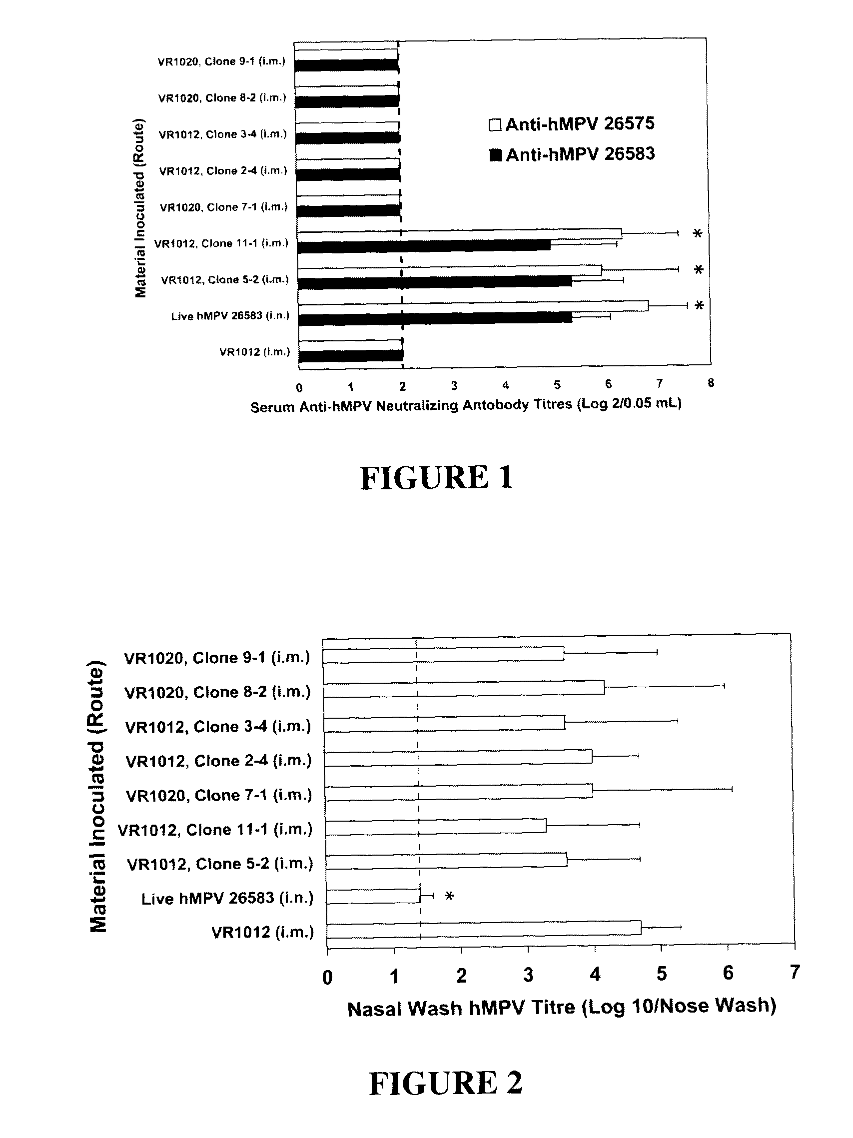 Nucleic acid immunological composition for human metapneumovirus