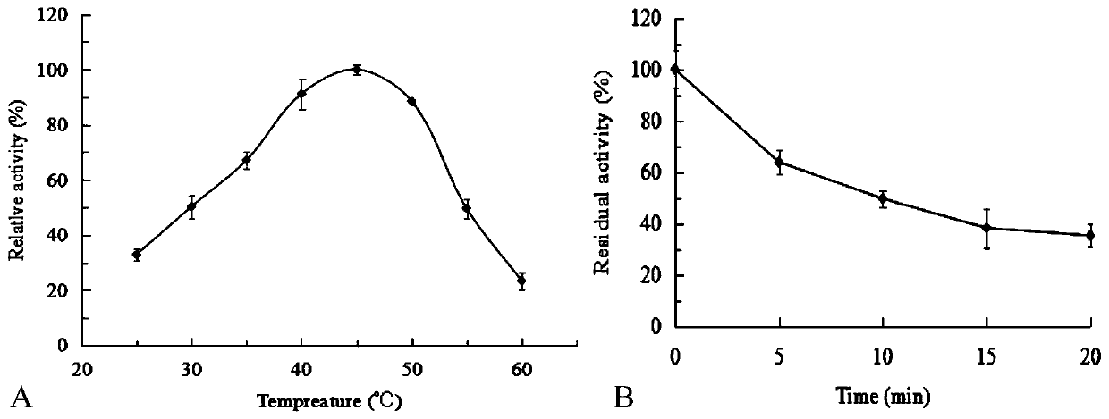 A kind of pyrazinamide hydrolase and its coding gene and application