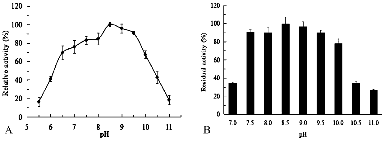 A kind of pyrazinamide hydrolase and its coding gene and application