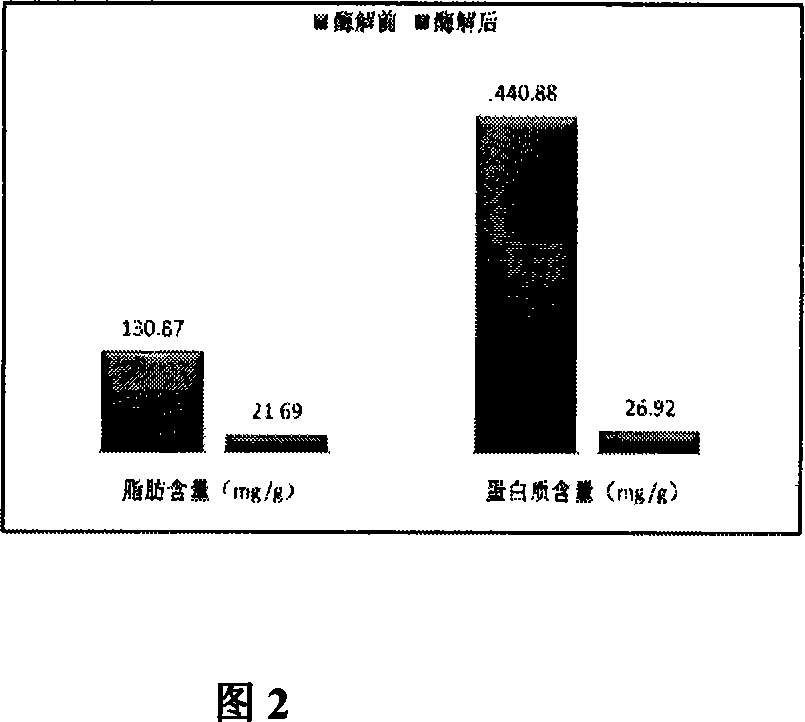 Method for preparing chitin/chitosan from rind and shell of silkworm chrysalis and fly maggot