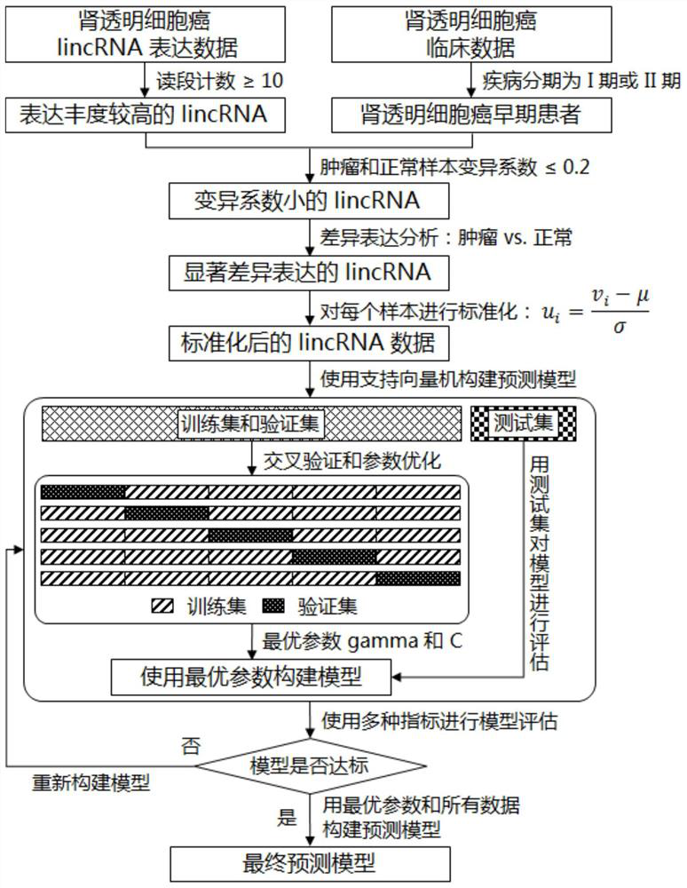 Featured lincRNA expression profile combination and early stage prediction method for renal clear cell carcinoma