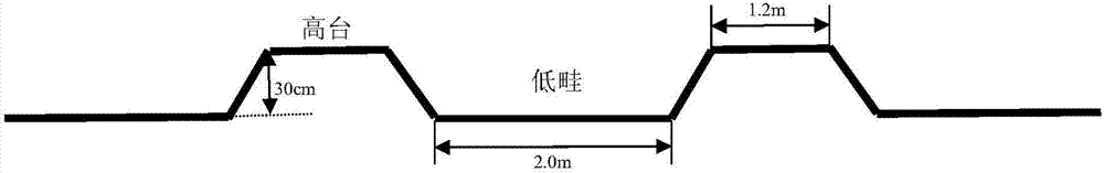 Ecological producing method of traditional Chinese medicines in saline-alkali soil of yellow river delta