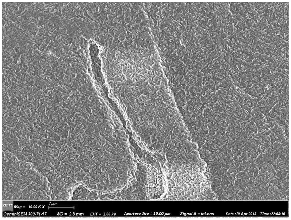 Lithium hydroxide monohydrate, preparation method and application thereof, lithium ion battery cathode material and lithium ion battery