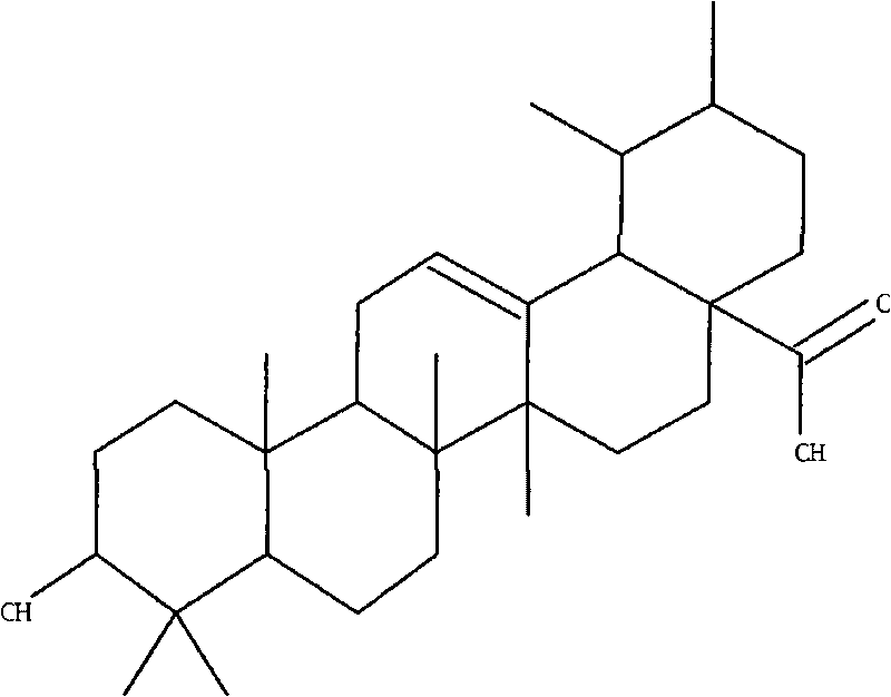 Preparation method of ursolic acid