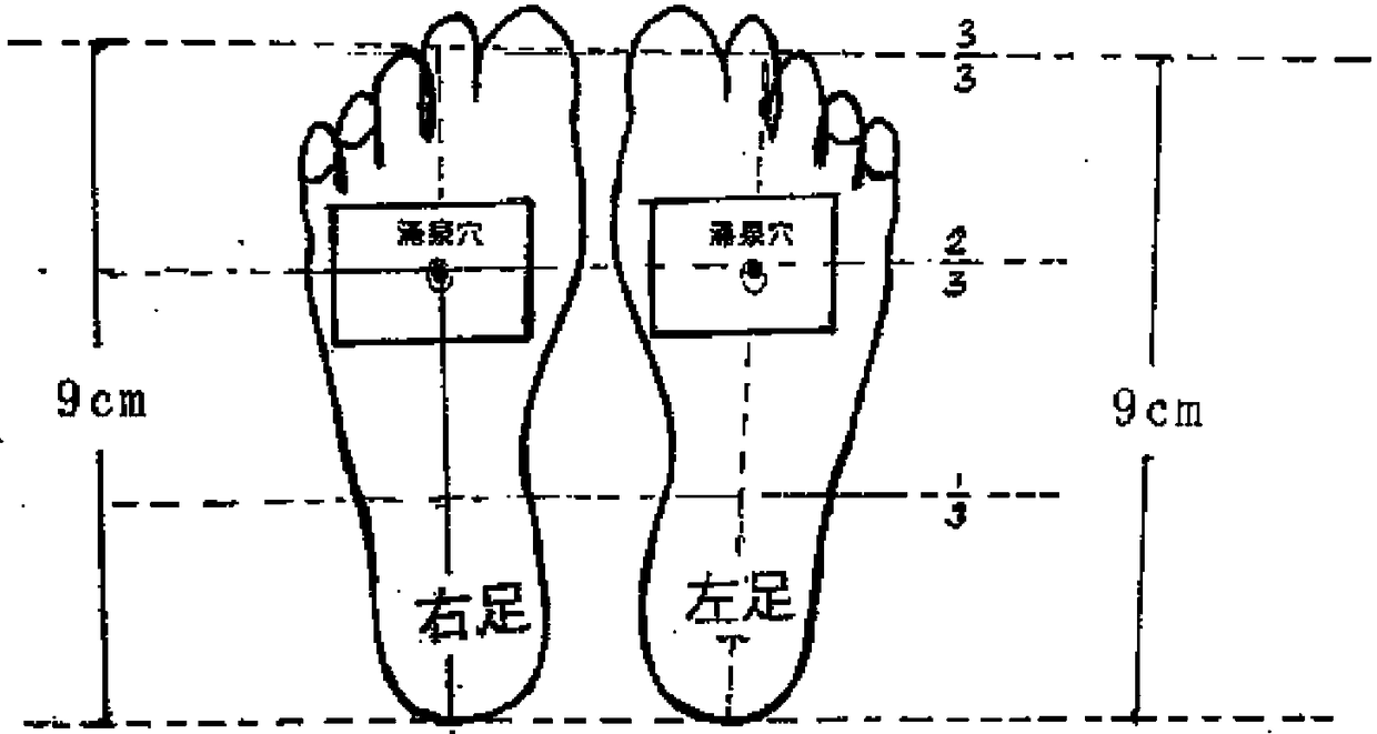 A kind of antihypertensive black plaster and preparation method thereof