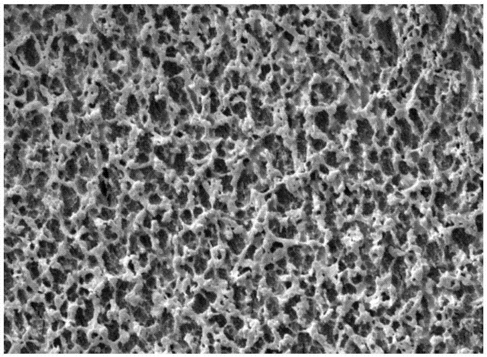 Polyformaldehyde product surface processing method