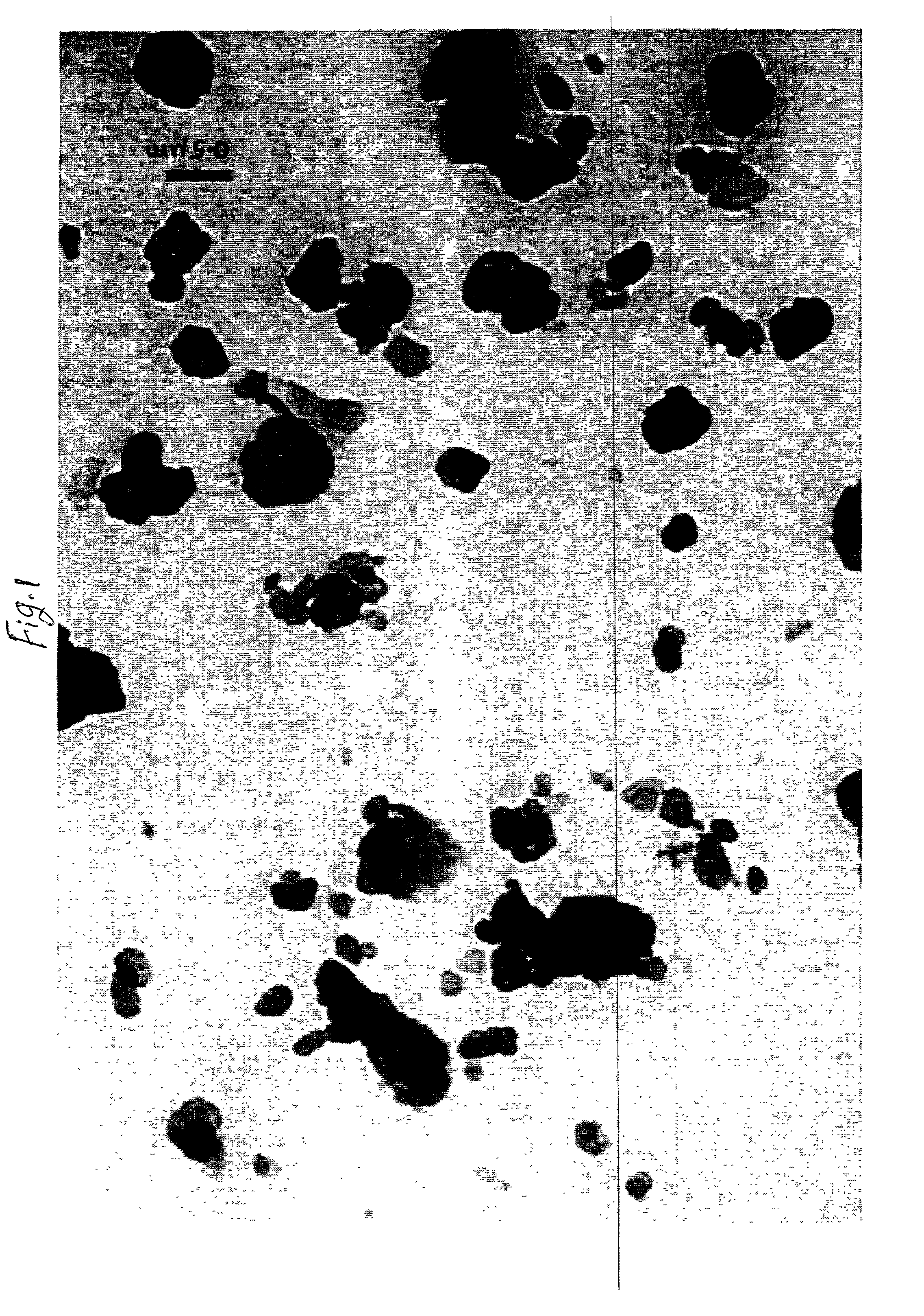 Novel kaolin clay glossing pigment and preparation thereof