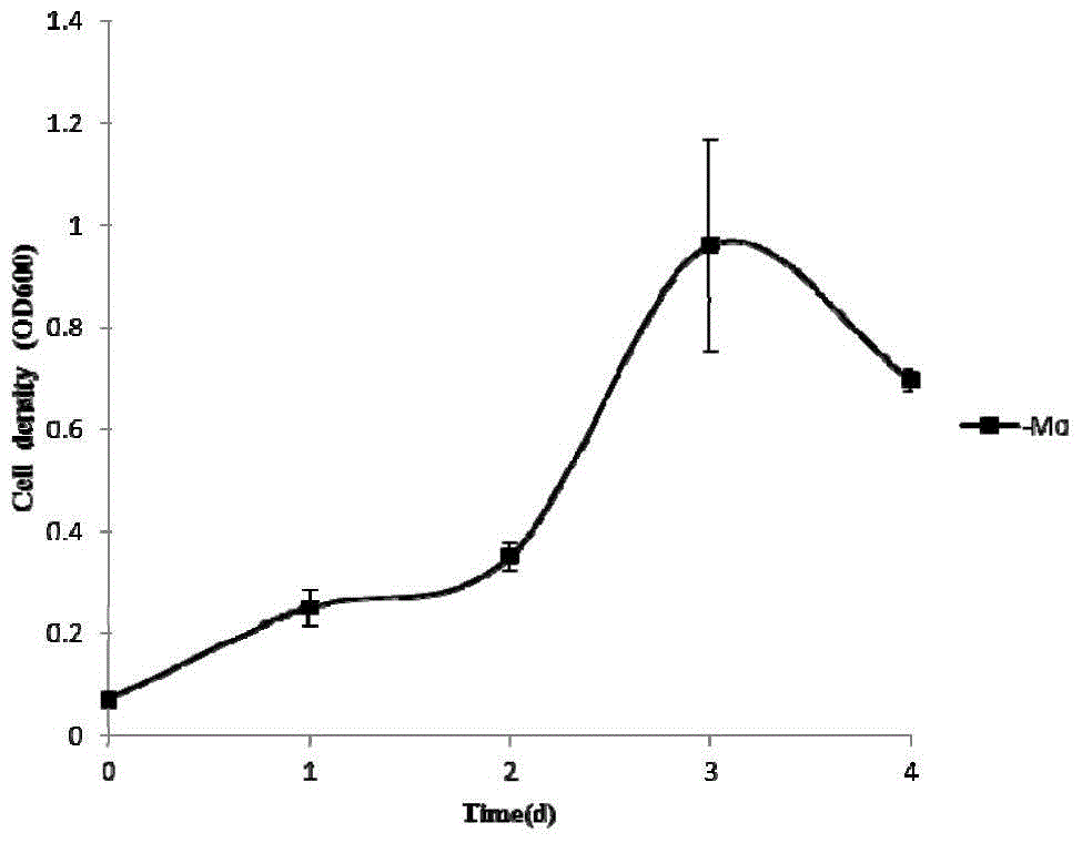 Method for improving concentration of alcohol substances in fermented product of anaerobic gas-feeding microbes