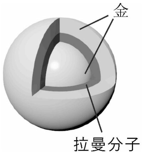 A steganographic material and steganographic method based on surface-enhanced Raman nanoparticles