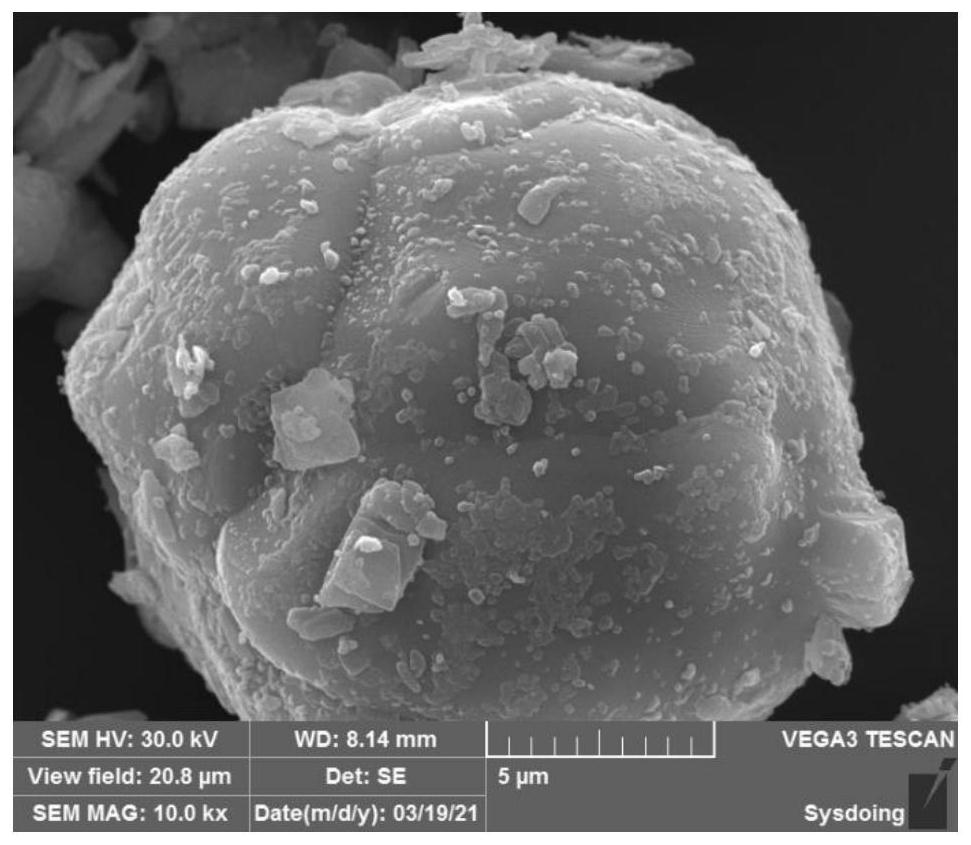 High-temperature-resistant and high-voltage-resistant composite lithium cobalt oxide positive electrode material as well as preparation method and application thereof