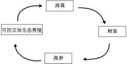 Method for abalone, sea cucumber and algae controllable three-dimensional ecological aquaculture