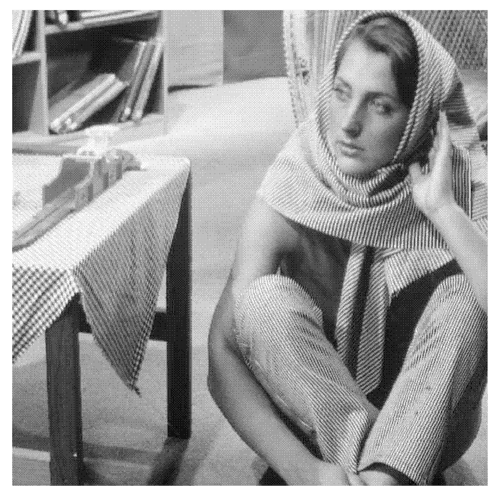 Image compression secure coding method based on multidirectional sparse representation