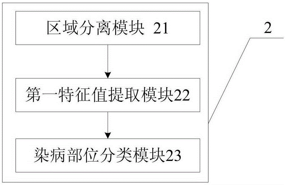 Potato disease diagnostic device, diagnostic system and diagnostic method