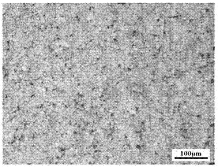 Warm pressing deformation biological magnesium alloy and preparation method thereof