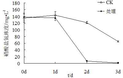 Efficient water body denitrification pseudomonas stutzeri DB-33 and culture method thereof