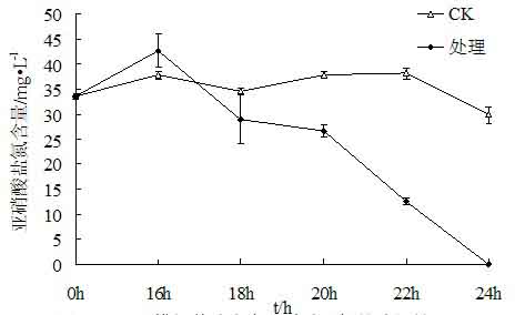 Efficient water body denitrification pseudomonas stutzeri DB-33 and culture method thereof