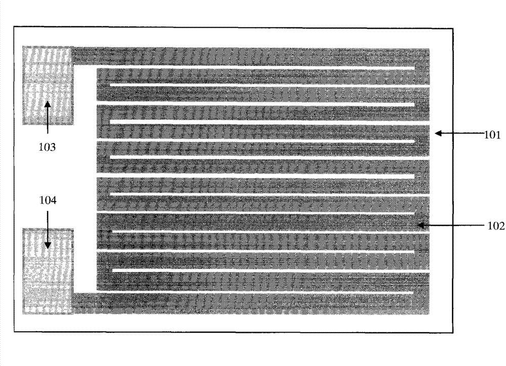 Carbon nanotube sensor and production method