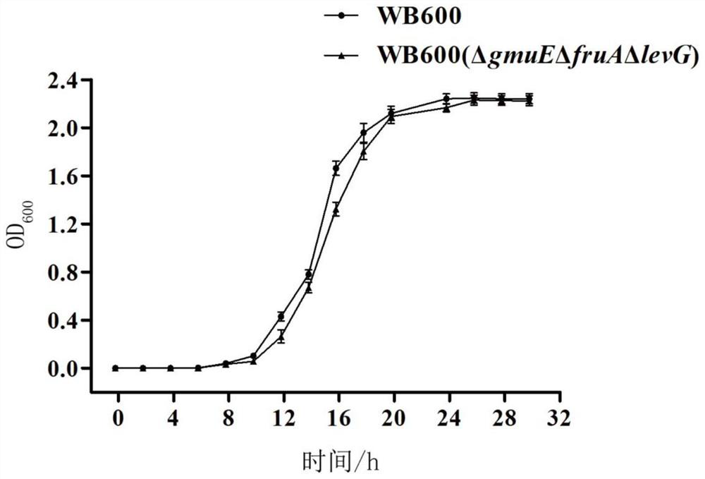 Genetically engineered bacterium for synthesizing D-allulose, and construction method and application of genetically engineered bacterium