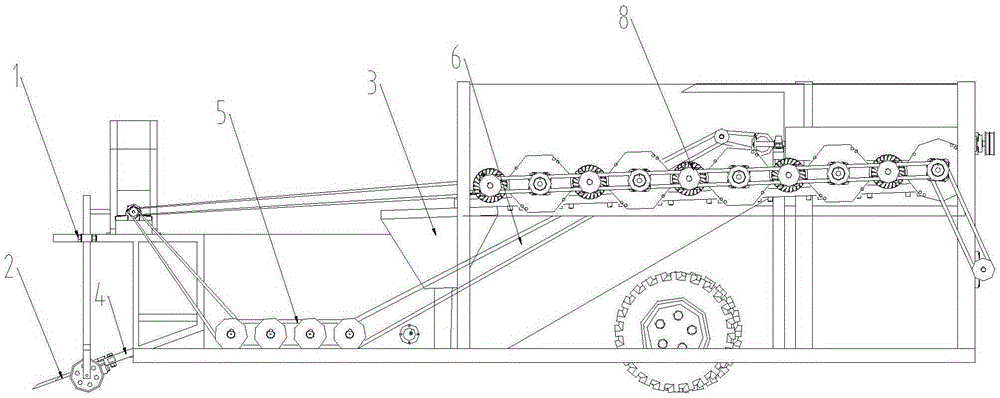 Tuberous root crop harvester