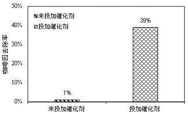 Catalytic ozonation water treatment method and apparatus thereof