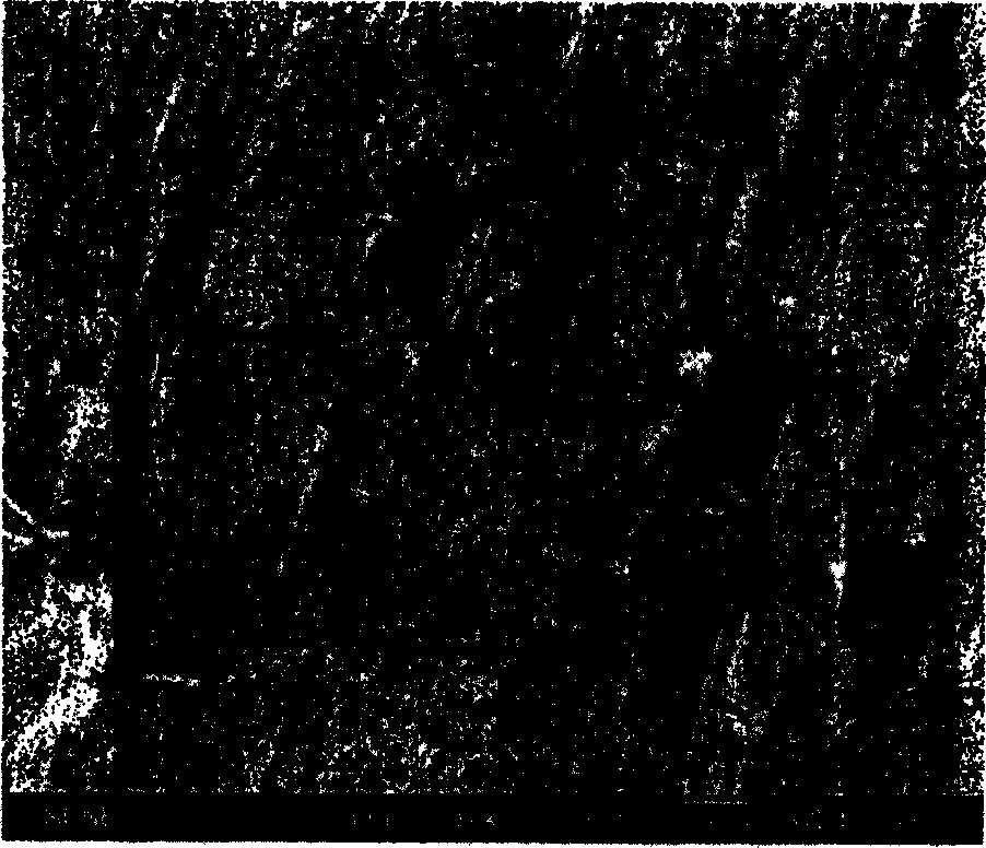 Conductive plastic and its processing method and apparatus