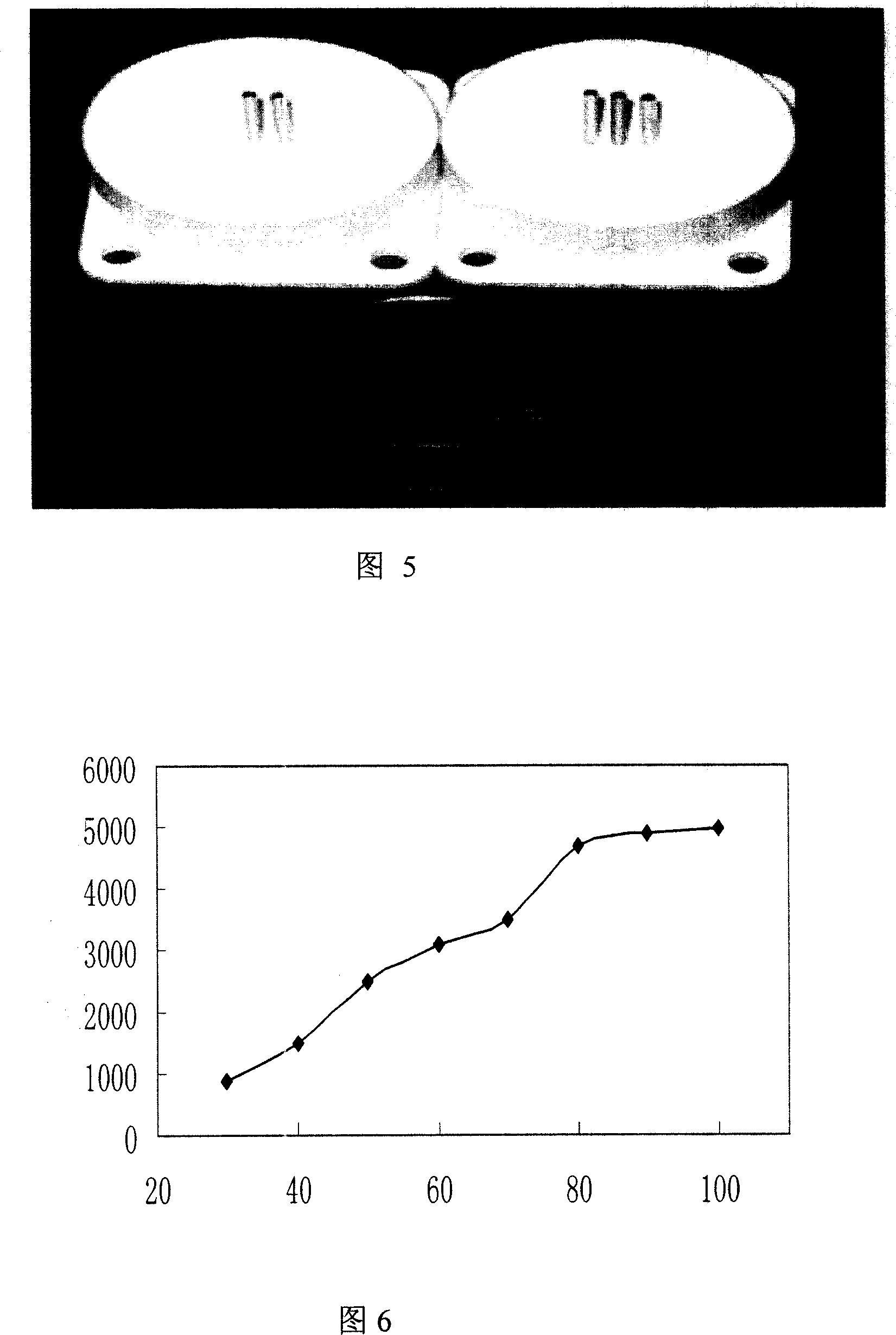 Mini self-priming pump