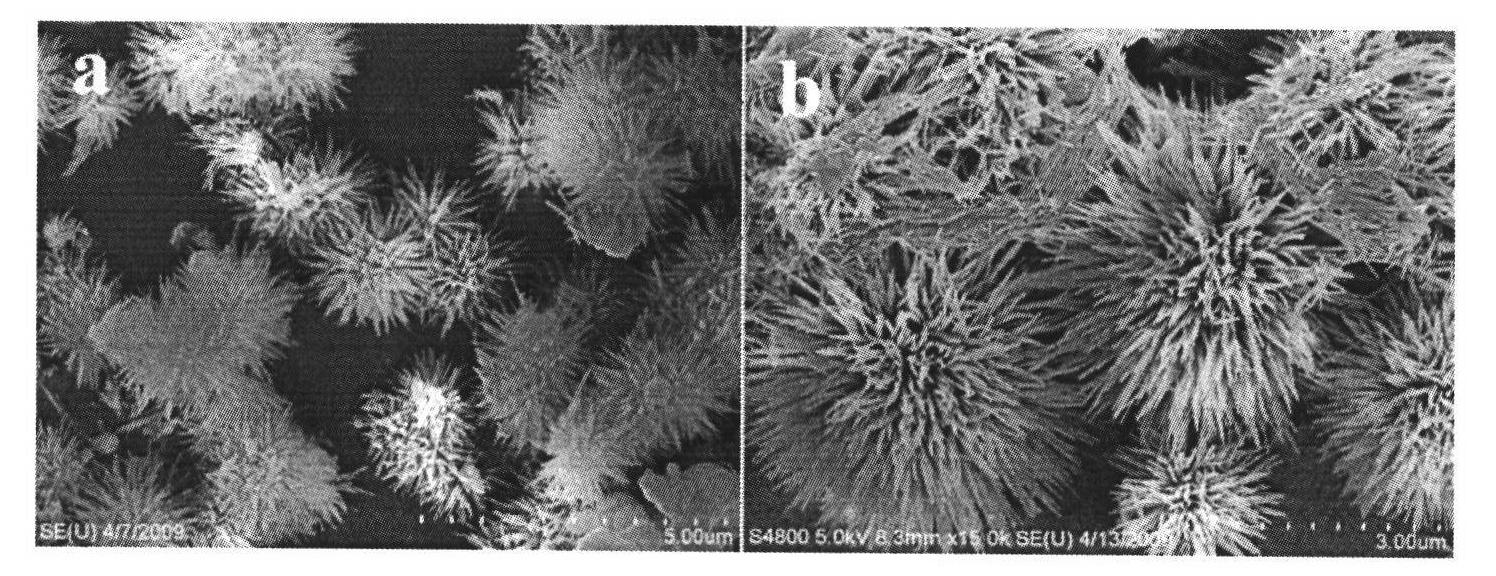 Co3O4 nanocrystal, preparation method thereof, use thereof and non-enzymatic hydrogen peroxide sensor thereof