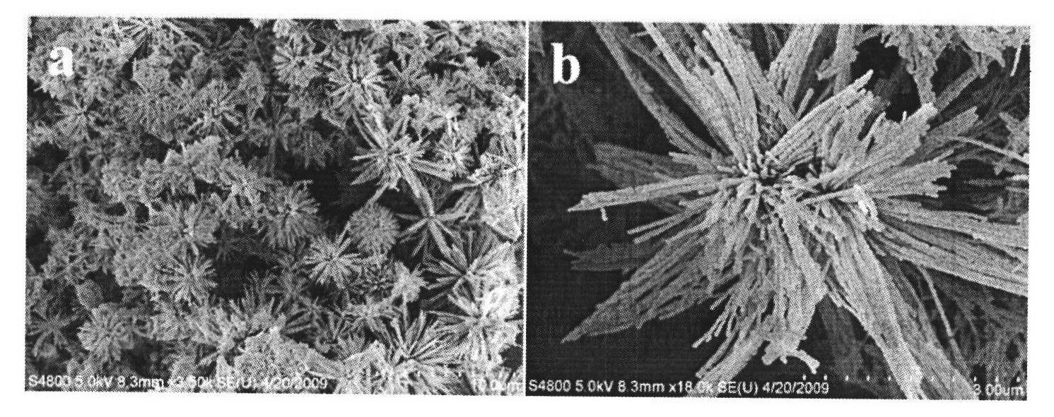 Co3O4 nanocrystal, preparation method thereof, use thereof and non-enzymatic hydrogen peroxide sensor thereof