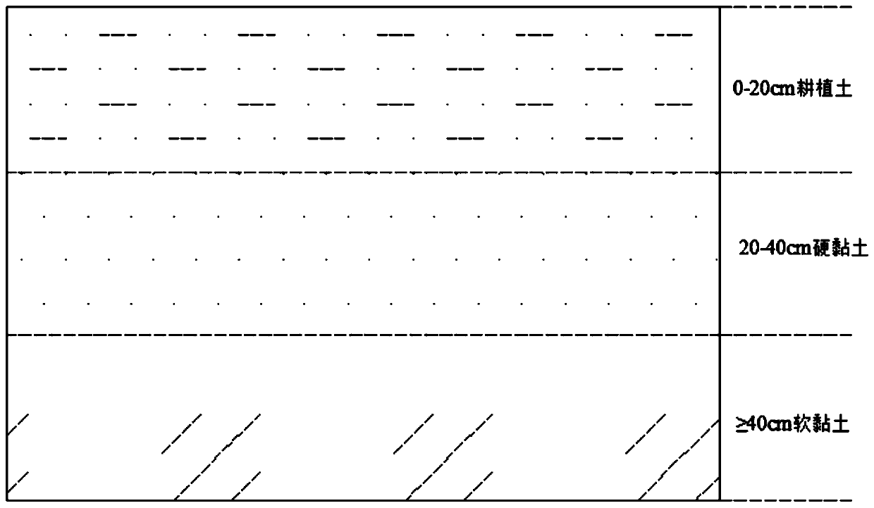 In-situ remediation method for heavy metal cadmium moderate pollution of farmland