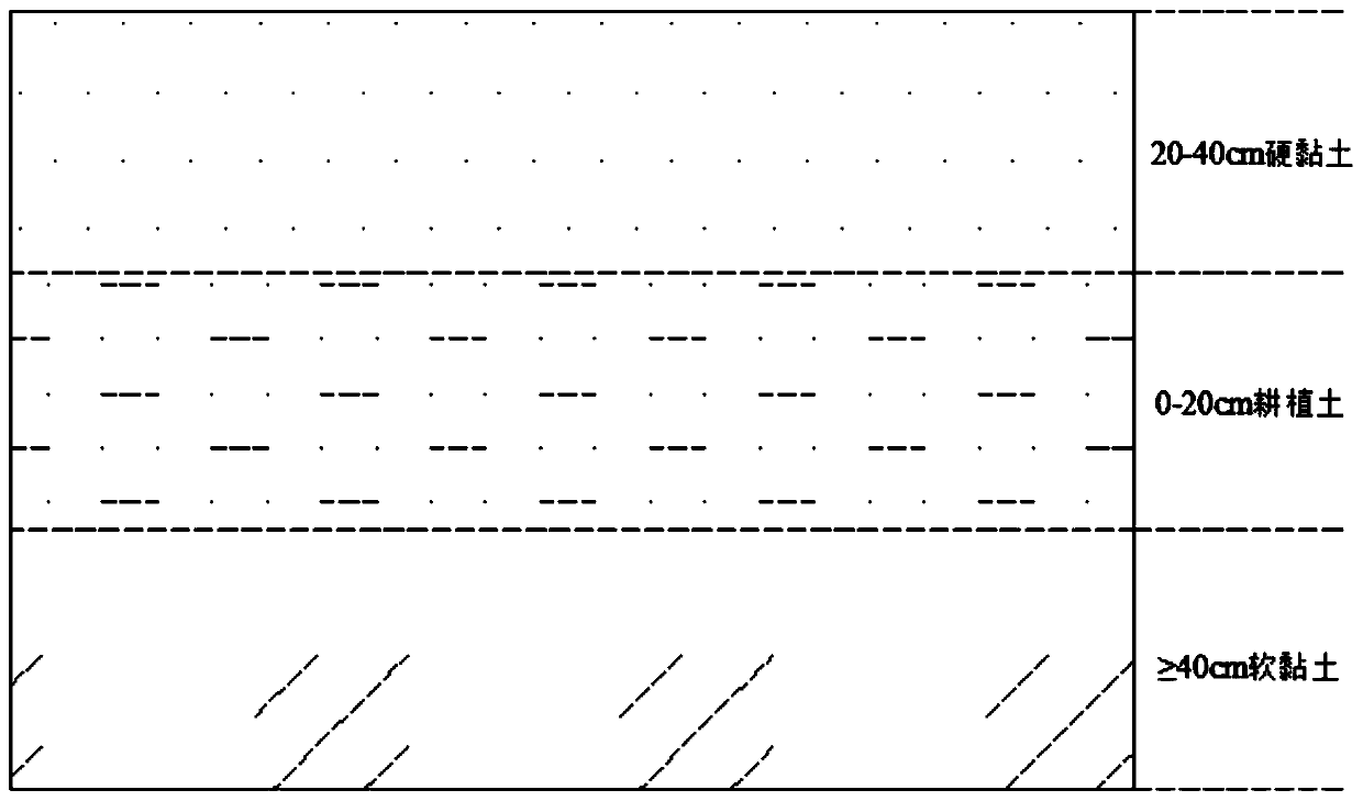 In-situ remediation method for heavy metal cadmium moderate pollution of farmland