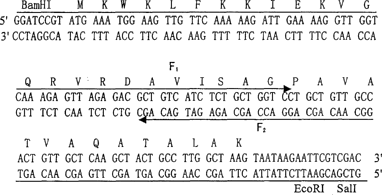 Preparation and application of antibiotic peptide pichia yeast