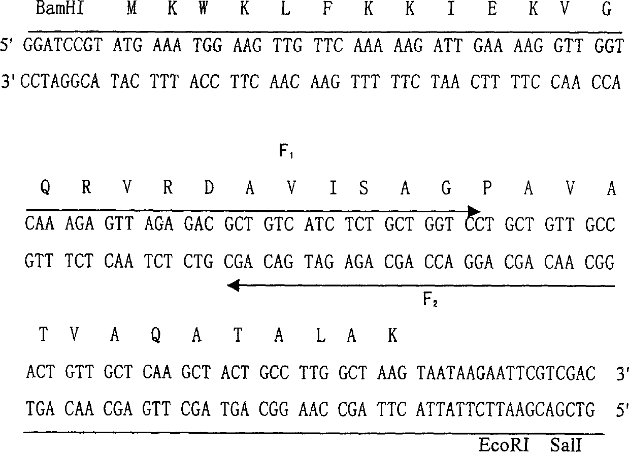 Preparation and application of antibiotic peptide pichia yeast