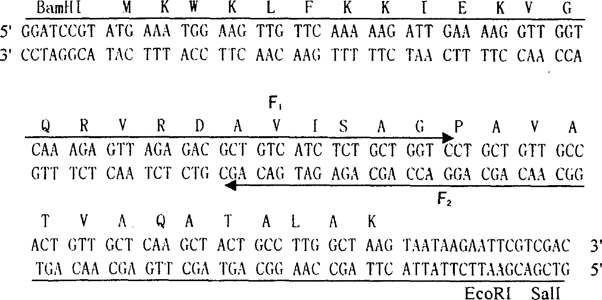 Preparation and application of antibiotic peptide pichia yeast