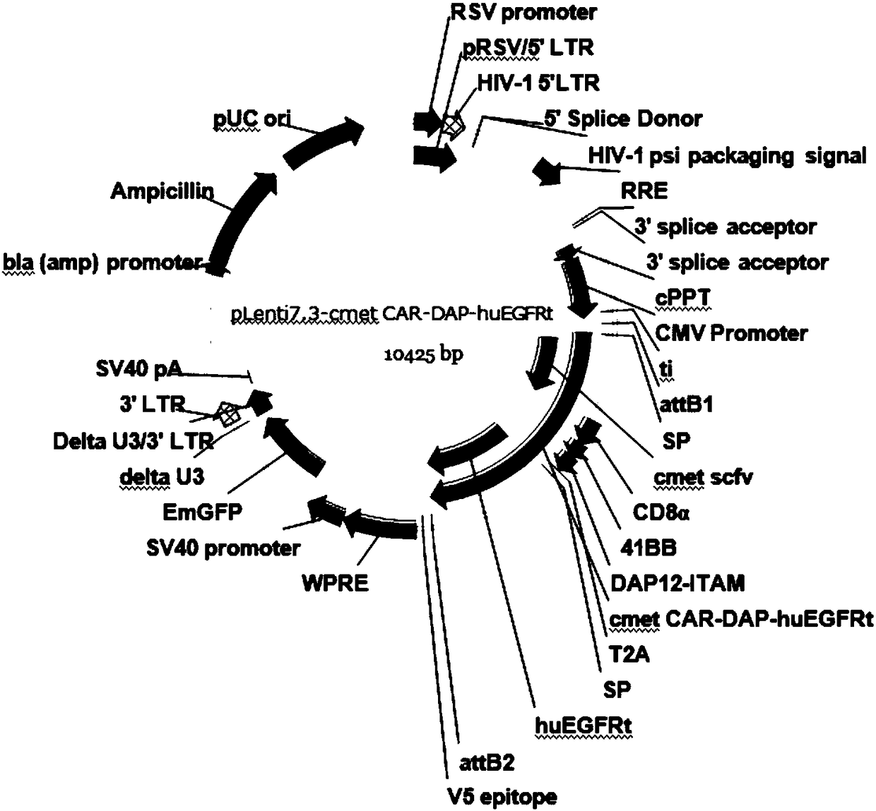 Chimeric antigen receptor with safety switch, expression gene of the chimeric antigen receptor, NK cell modified by the chimeric antigen receptor and an application of the chimeric antigen receptor.