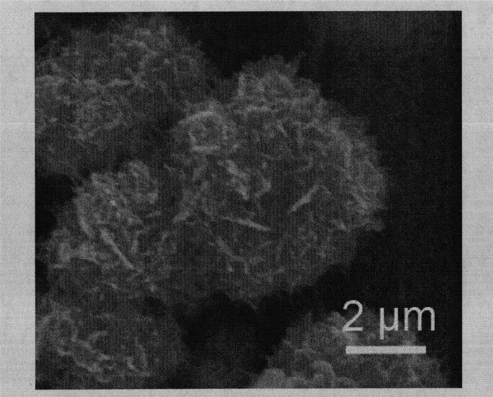 Silver-modified bismuth tungstate composite photocatalyst, its preparation method and application thereof