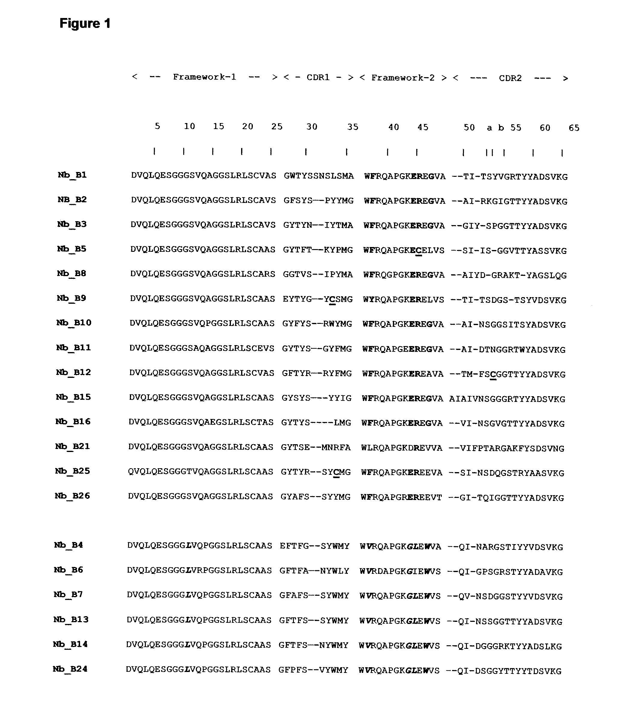 Single domain antibodies capable of modulating bace activity