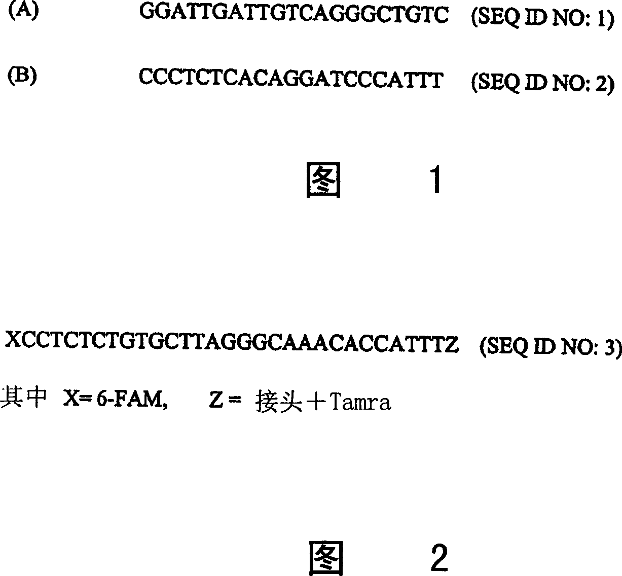 Identification of oligonucleotides for the capture, detection and quantitation of hepatitis A viral nucleic acid