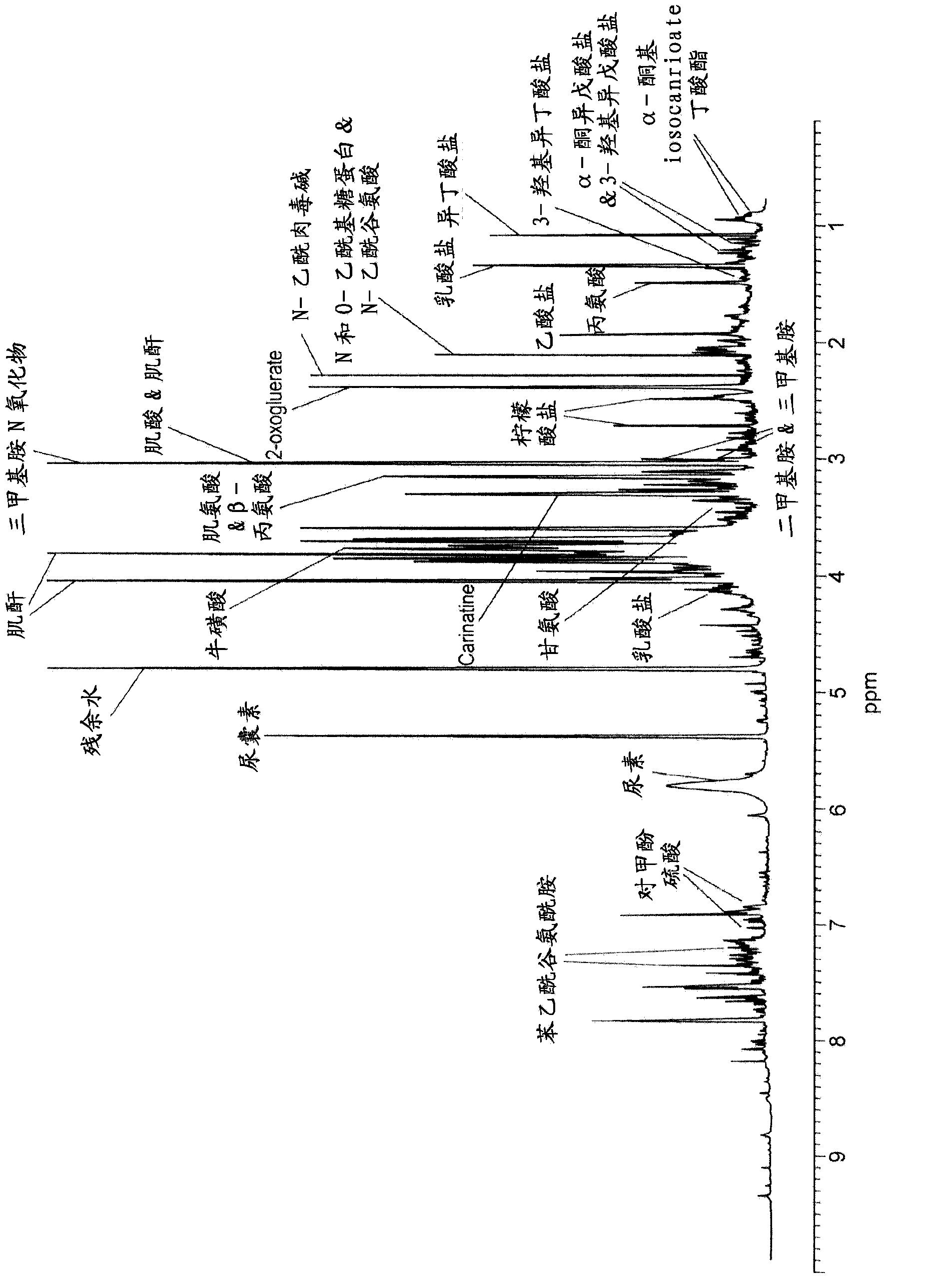 Phenylacetylglutamine as biomarker for healthy ageing