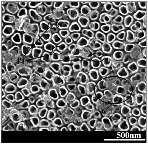 A preparation method of pd/mn/tnts photoelectrode with improved photogenerated charge separation and carbon dioxide reduction performance