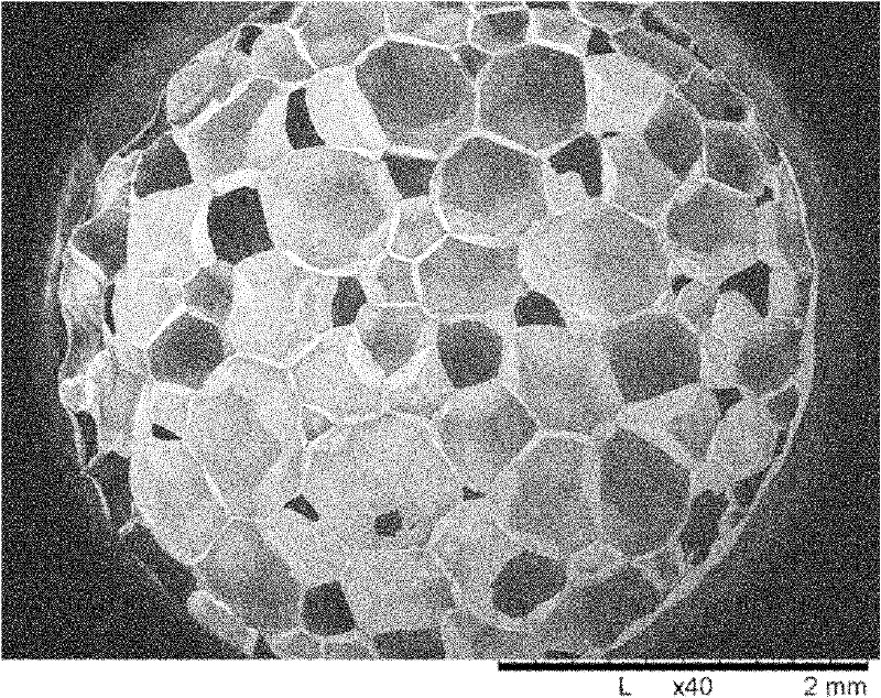 Preparation method of biodegradable polymer foamed particles