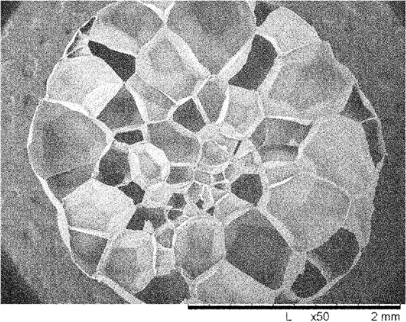 Preparation method of biodegradable polymer foamed particles