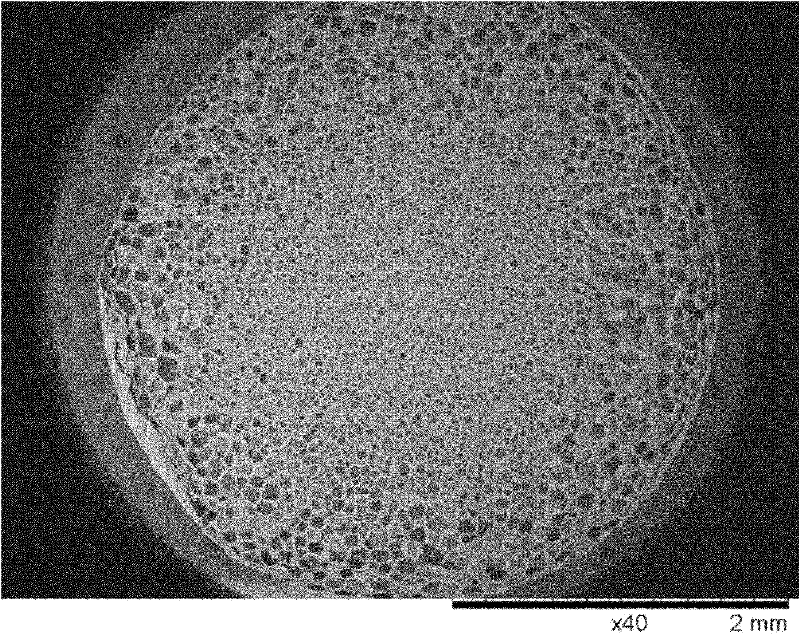 Preparation method of biodegradable polymer foamed particles