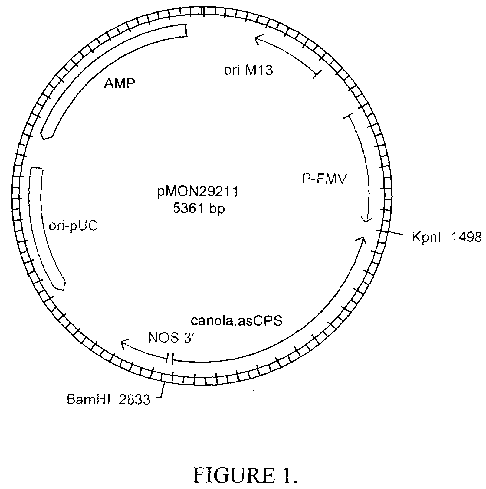 Methods for controlling gibberellin levels