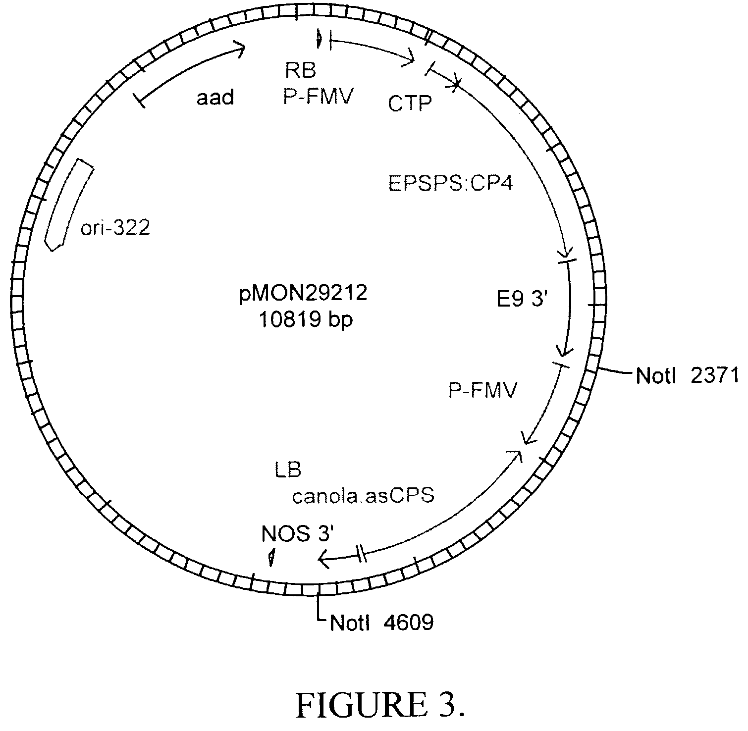 Methods for controlling gibberellin levels