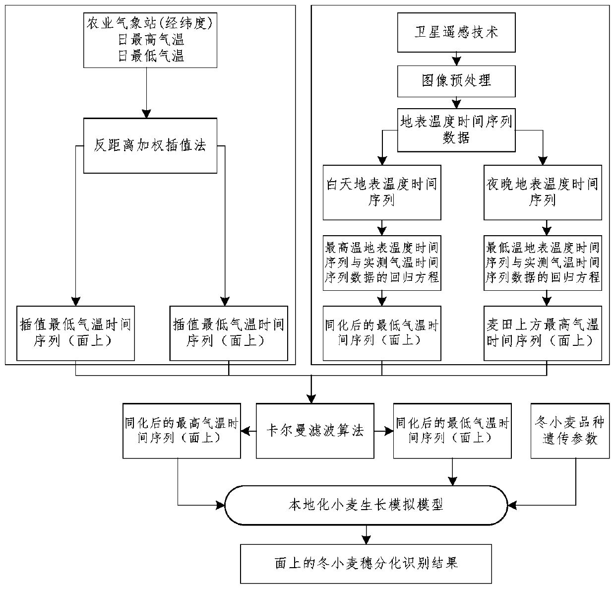 A method and device for identifying the ear differentiation stage of winter wheat