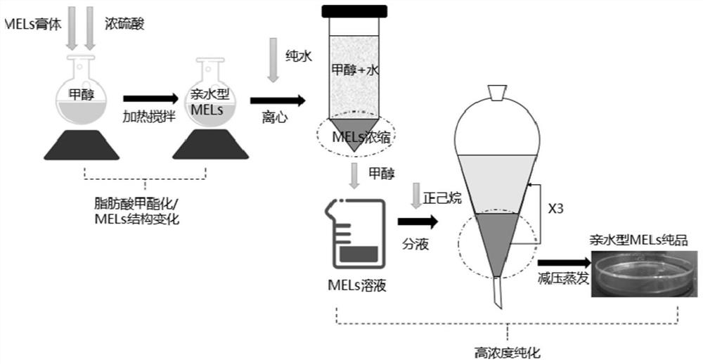 Method for purifying hydrophilic mannosylerythritol lipids