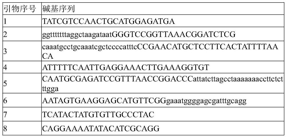 Recombinant saccharomyces cerevisiae expressing CBDAS and construction method and application thereof