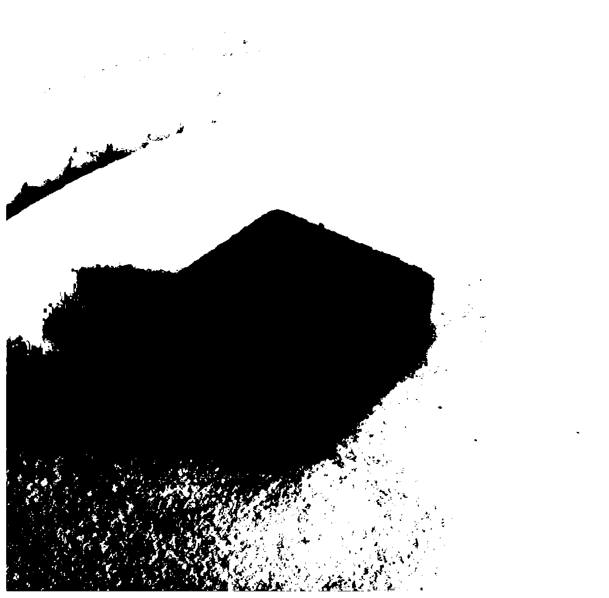 Method for preparing thermal conduction enhanced phase change energy storage wood based on photothermal response